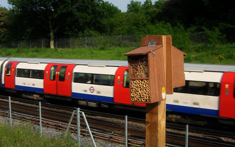 Underground Overground