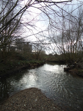 Tokyngton Park © Karen Harper