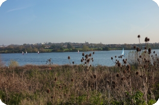 Brent Reservoir © Julie MacDonald