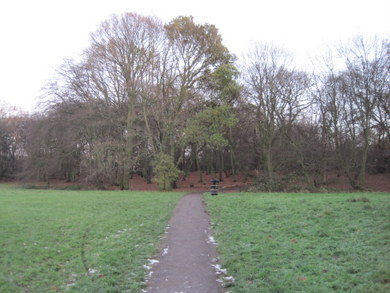 Cherry Tree Wood © Dudley Miles