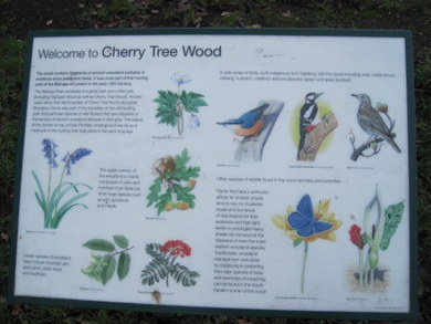 Cherry Tree Wood information © Dudley Miles