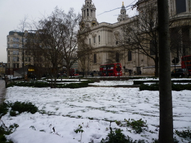 Carter Lane Gardens © Roger Manser