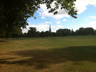 Clissold Park Grassland © Julie MacDonald