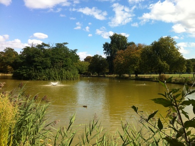 Clissold Park pond © Julie MacDonald