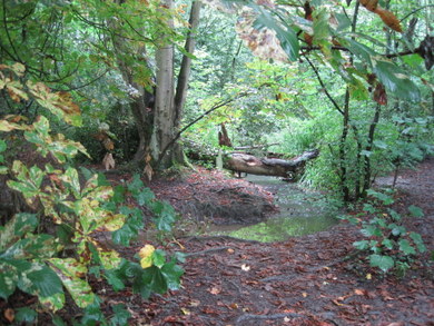 Folly Brook © Dudley Miles