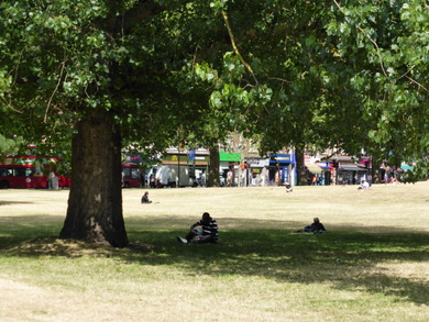 Brook Green © Roger Manser