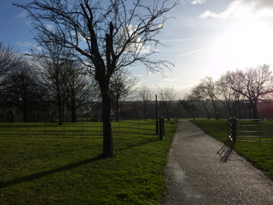 Gladstone Park © Julie MacDonald