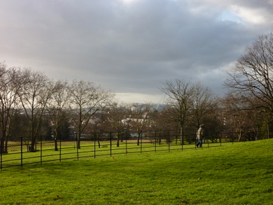 Gladstone Park view to Wembley © Julie MacDonald