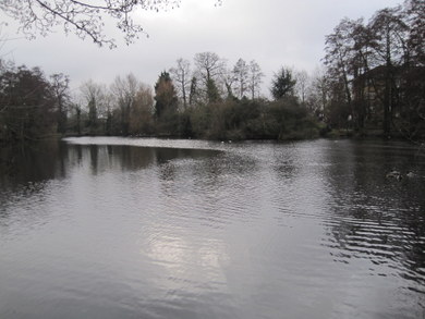 Greenhill Gardens lake © Dudley Miles