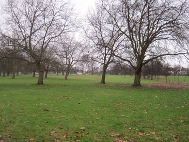 Hendon Park © Dudley Miles