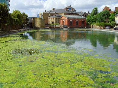 Hermitage Basin © John Archer