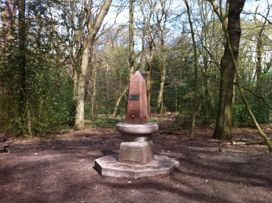 Highgate Woods Water Fountain © Julie Cox