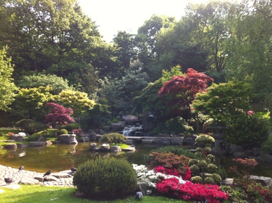 Holland Park Japanese Garden © Julie Cox
