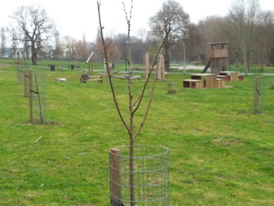 Ladywell Fields Orchard © Roger Manser