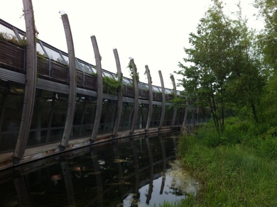Mile End Park © Julie Cox