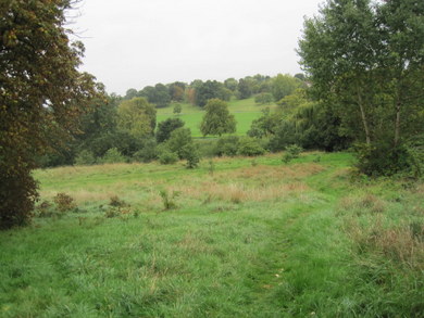 Oak Hill Wood Meadow and Oak Hill Park © Dudley Miles