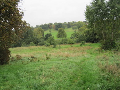 Oak Hill Wood Meadow and Oak Hill Park © Dudley Miles