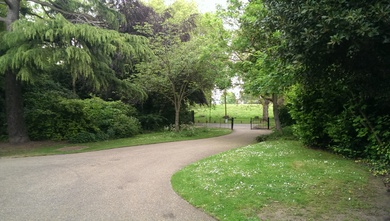 Peckham Rye Park © Matt Davies