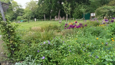 Peckham Rye Park © Matt Davies