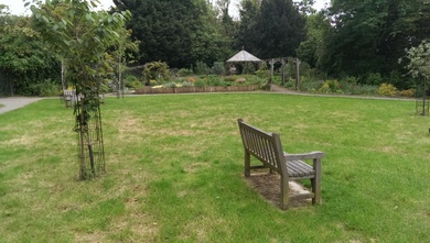 Peckham Rye Park © Matt Davies