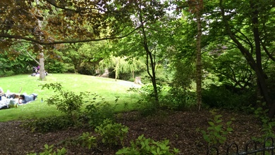 Peckham Rye Park © Matt Davies