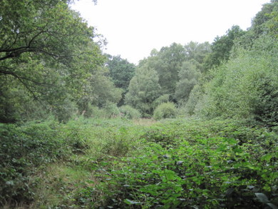 Rowley Green Common © Dudley Miles