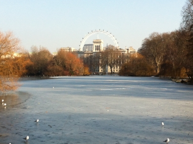 St James Park © Mandy Rudd