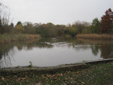 Stoneyfields Park lake © Dudley Miles