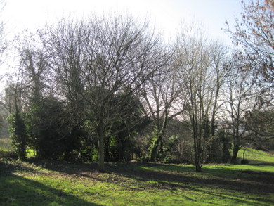 South east corner of Sunny Hill Park © Dudley Miles