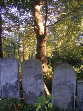 Tower Hamlets Cemtery Park Gravestones © Chloe Smith