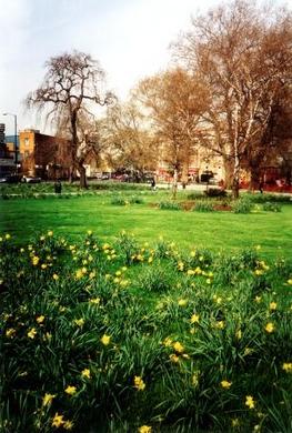Camberwell Green © Mathew Frith