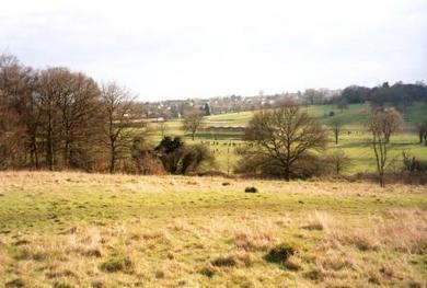 Oak Hill Park East Barnet © Mathew Frith