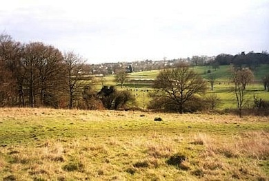 Oak Hill Woods Nature Reserve © Mathew Frith