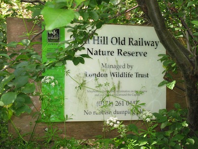 Mill Hill Old Railway Nature Reserve © London Wildlife Trust