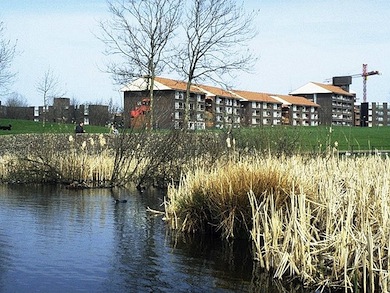 Grahame Park © Jan Hewlett