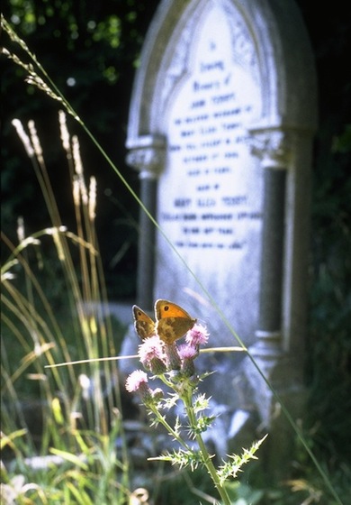 Bell's Hill Burial Ground © Jan Hewlett