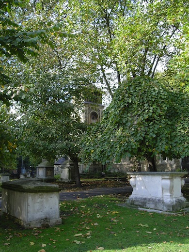 St Pancras Gardens © Moy Cash