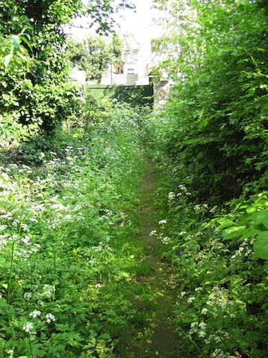 Greville Place Nature Reserve © London Wildlife Trust
