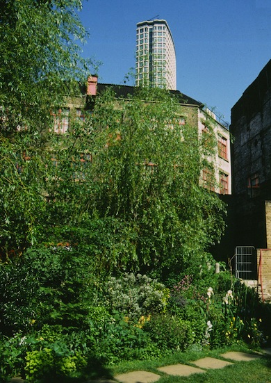 Phoenix Community Garden © Mike Waite