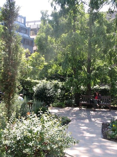 Cleary Gardens © Corporation of London