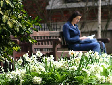 St Botolph's Church Grounds © Corporation of London