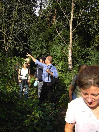 Knights Hill Wood Nature Reserve © Iain Boulton