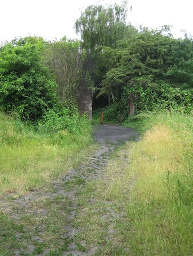 Entrance path to Tump 53 © London Wildlife Trust
