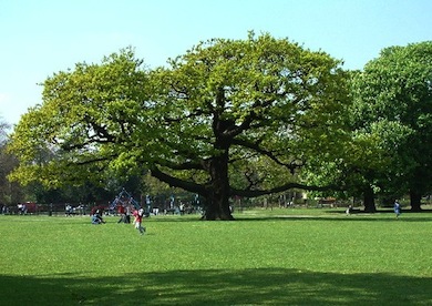 Bruce Castle Park © Mathew Frith