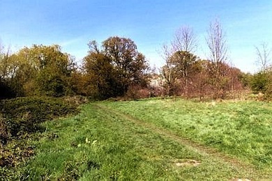 Hogsmill Open Space, Old Malden © Mathew Frith