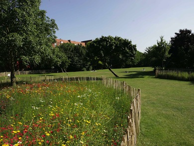 Whittington Park © London Borough of Islington