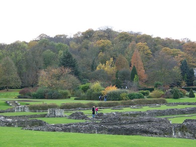 Autumn colours at the ruins of Lesnes Abbey © John Cannell