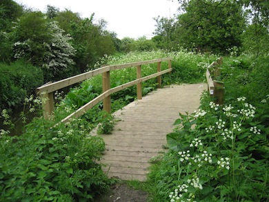 Footbridge over the Yeading Brook © London Wildlife Trust