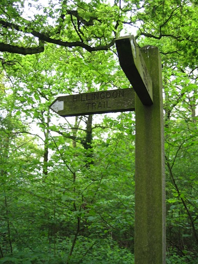 Route-marking at Yeading Brook Meadows © London Wildlife Trust