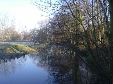 River Colne at Little Britain © London Wildlife Trust
